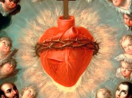 Semana do Coração – 2016