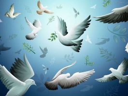 Em 2018, para cultivar a paz… Imagem da pomba da paz