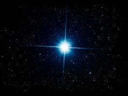 Dispostos e disponíveis