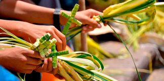 Que tipo de ramo eu sou?