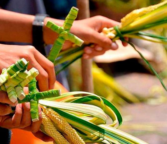 Que tipo de ramo eu sou?