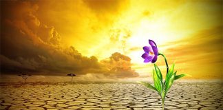 Campanha “40 dias no deserto com Jesus” de Jejum e Oração 2015